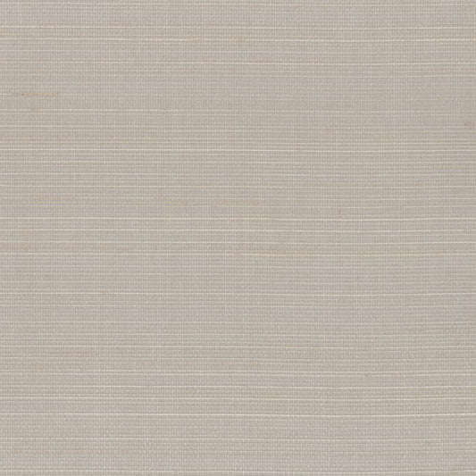 Abaca Natural Fibre WIDE Wallpaper - Shot Taupe