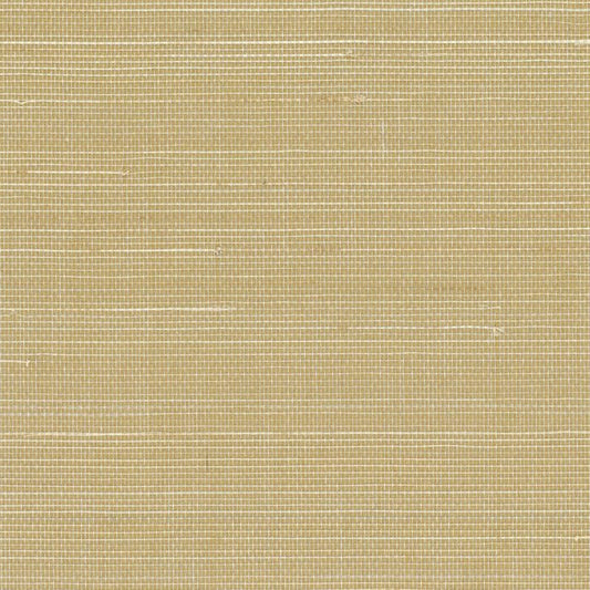 Abaca Natural Fibre WIDE Wallpaper - Biscuit
