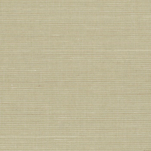Abaca Natural Fibre WIDE Wallpaper - Spring Grass