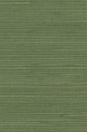 Hemp Revolution - 100% Hemp Wallpaper - Forest Green