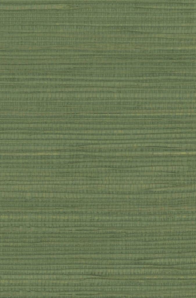 Sample - Hemp Revolution - 100% Hemp Wallpaper - Forest Green
