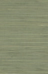 Hemp Revolution - 100% Hemp Wallpaper - Olive
