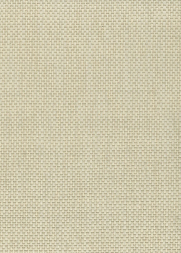 Sample - Paper Art Wallpaper - Natural and Cream