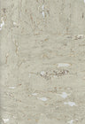 Lasmin Cork Metallic Wallpaper - Taupe/Gold