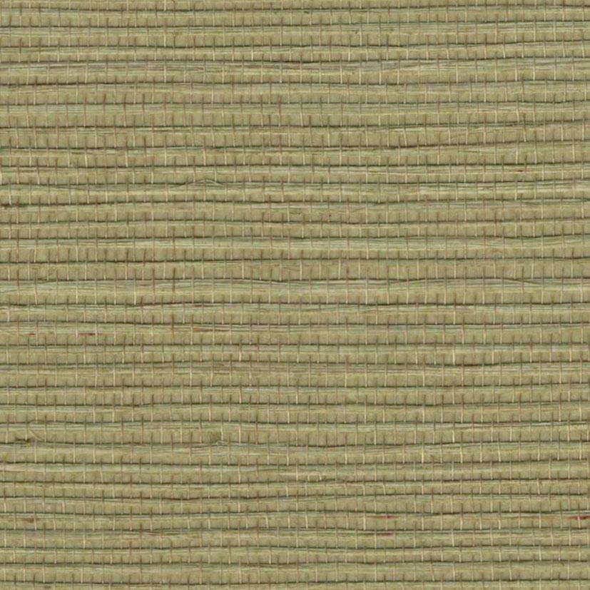 Sample - Bali 2 - Grasscloth Wallpaper - Weeping Willow