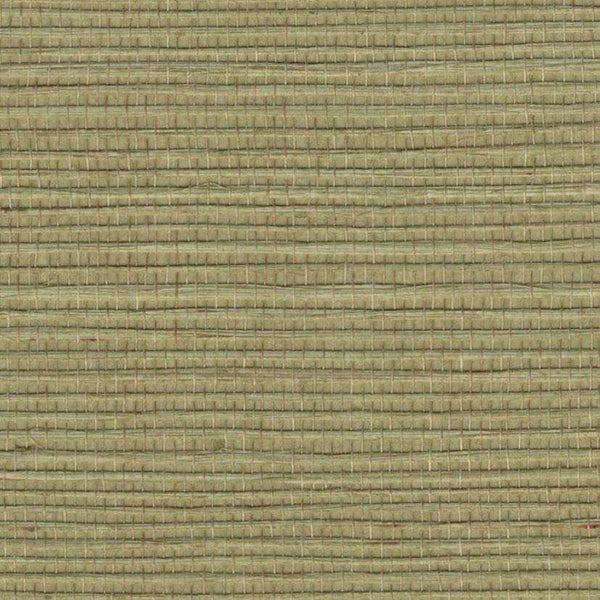 Sample - Bali 2 - Grasscloth Wallpaper - Weeping Willow