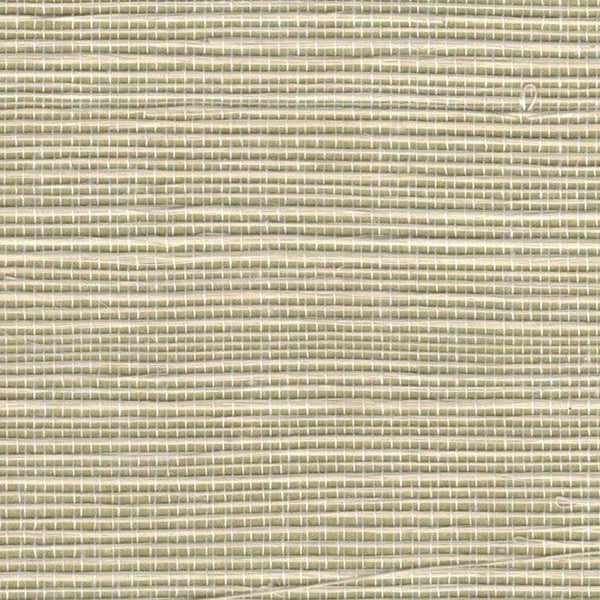 Sample - Bali 2 - Grasscloth Wallpaper - Canary Green