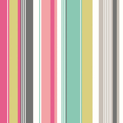 Barcode Wallpaper - Raspberry