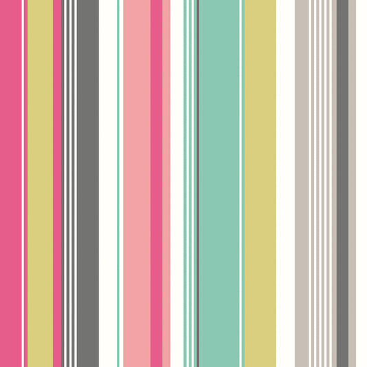 Barcode Wallpaper - Raspberry