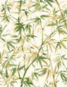 Shadow Bamboo Wallpaper - Willow