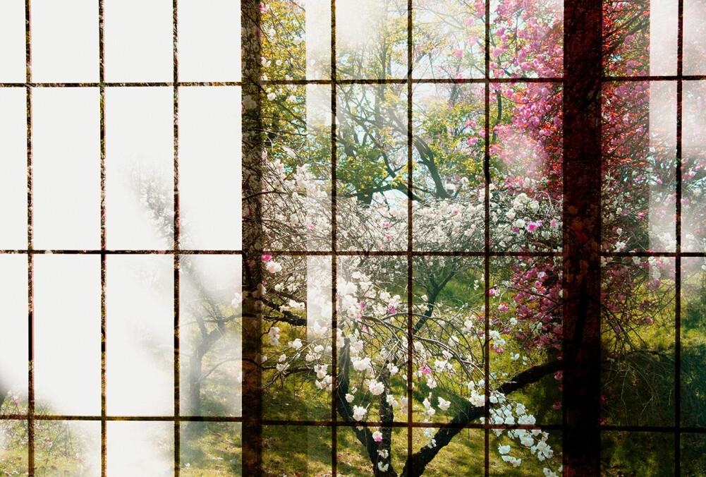 Orchard Window - Custom Sized Wallpaper Mural (per m2) - Orchard 1