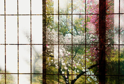 Orchard Window - Custom Sized Wallpaper Mural (per m2) - Orchard 1