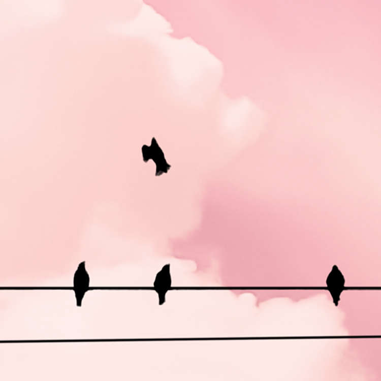 Cloud Wire - Custom Sized Wallpaper Mural (per m2)