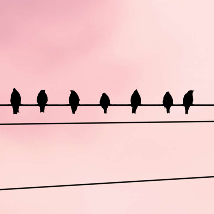 Cloud Wire - Custom Sized Wallpaper Mural (per m2)