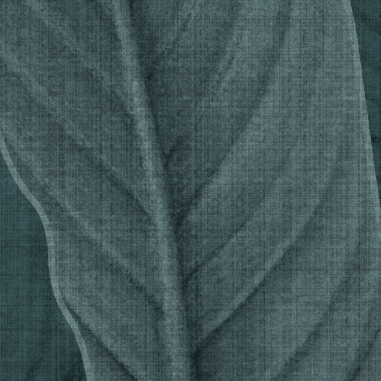 Bain de Feuilles - Custom Sized Wallpaper Mural (per m2)