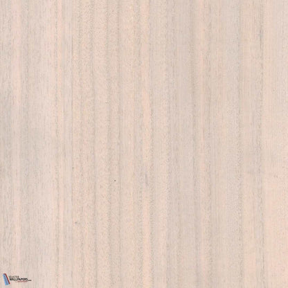 Paulownia - Wood Veneer Wallpaper - Marshmallow