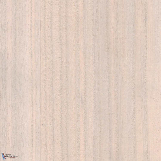 Paulownia - Wood Veneer Wallpaper - Marshmallow