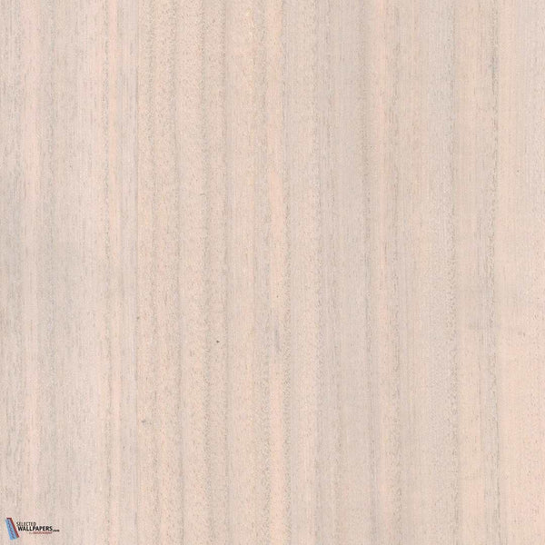 Sample - Paulownia - Wood Veneer Wallpaper - Marshmallow