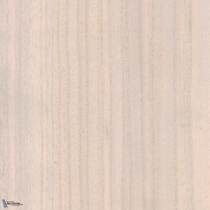 Paulownia - Wood Veneer Wallpaper - Marshmallow