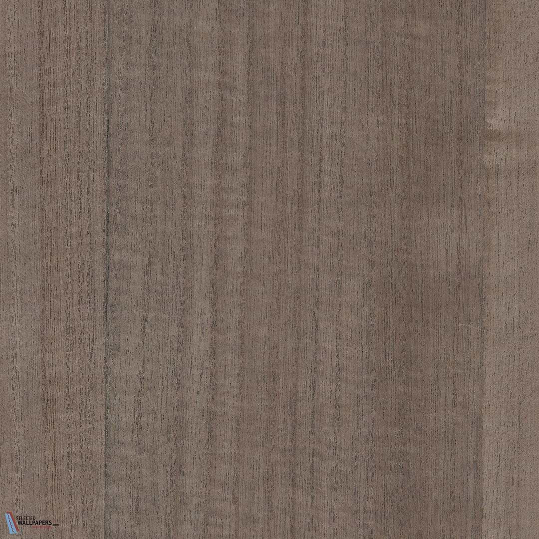 Sample - Paulownia - Wood Veneer Wallpaper - White Pepper