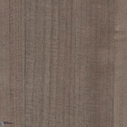 Paulownia - Wood Veneer Wallpaper - White Pepper