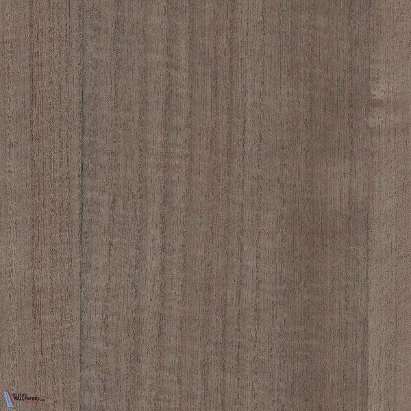 Sample - Paulownia - Wood Veneer Wallpaper - White Pepper