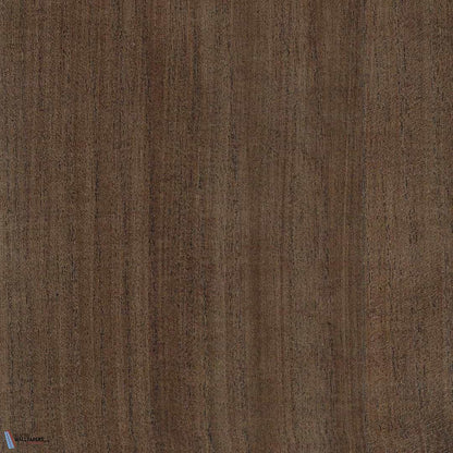 Paulownia - Wood Veneer Wallpaper - Starfish