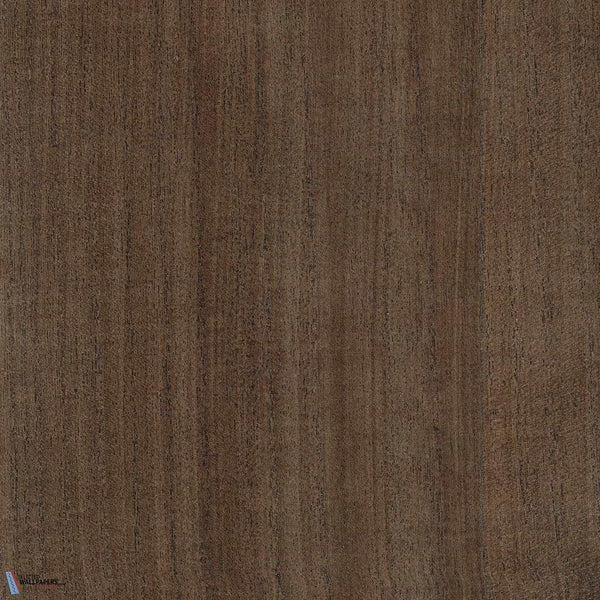 Sample - Paulownia - Wood Veneer Wallpaper - Starfish