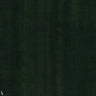 Paulownia - Wood Veneer Wallpaper - Hunter Green