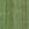 Paulownia - Wood Veneer Wallpaper - Willow Bough