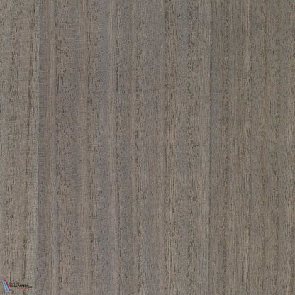 Paulownia - Wood Veneer Wallpaper - Charcoal Gray