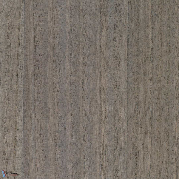 Sample - Paulownia - Wood Veneer Wallpaper - Charcoal Gray
