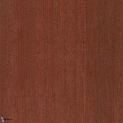 Paulownia - Wood Veneer Wallpaper - Bombay Brown