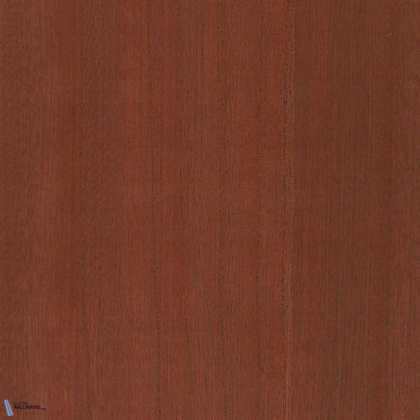 Sample - Paulownia - Wood Veneer Wallpaper - Bombay Brown