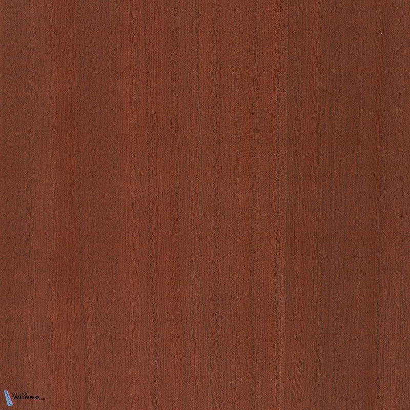 Paulownia - Wood Veneer Wallpaper - Bombay Brown