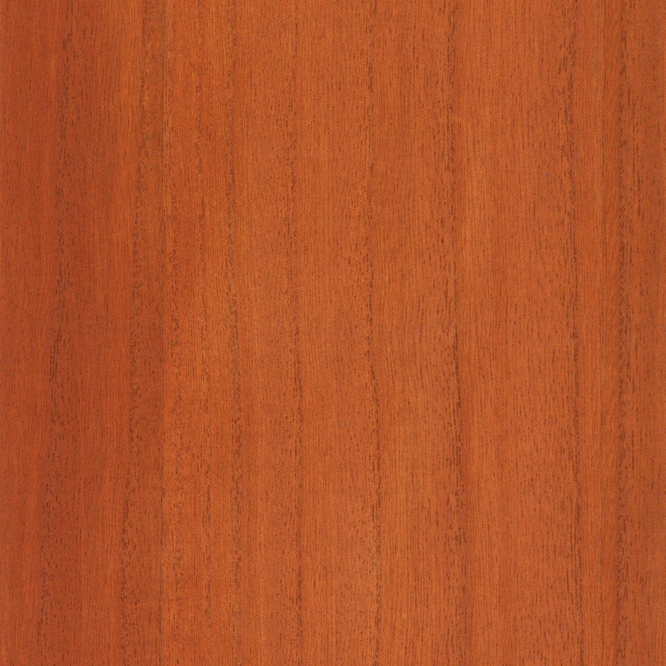 Paulownia - Wood Veneer Wallpaper - Raw Sienna