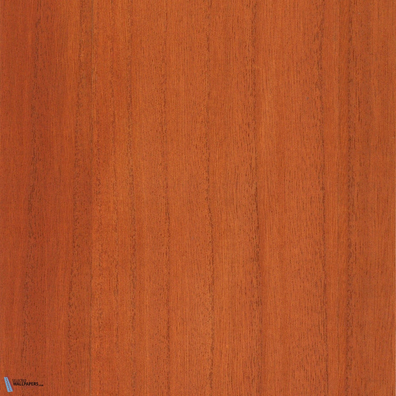 Paulownia - Wood Veneer Wallpaper - Raw Sienna