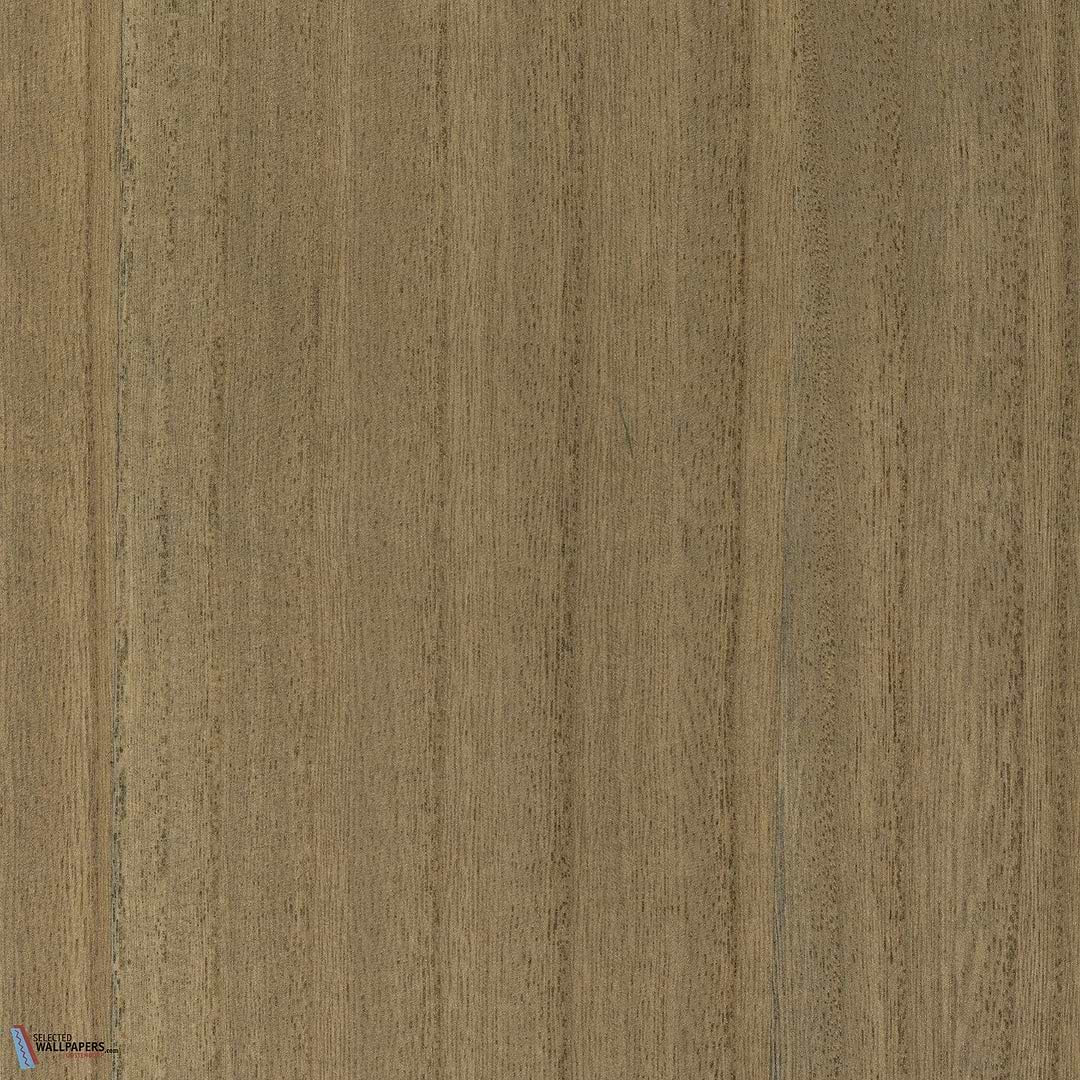 Paulownia - Wood Veneer Wallpaper - Brown Sugar
