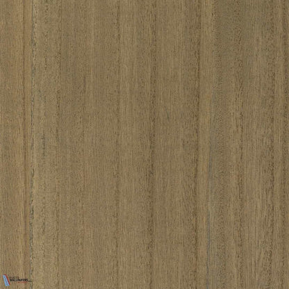 Paulownia - Wood Veneer Wallpaper - Brown Sugar