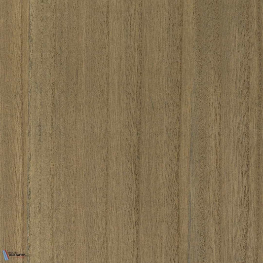 Paulownia - Wood Veneer Wallpaper - Brown Sugar