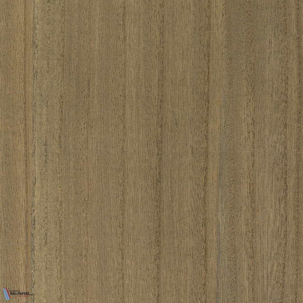 Sample - Paulownia - Wood Veneer Wallpaper - Brown Sugar