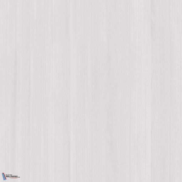 Sample - Paulownia - Wood Veneer Wallpaper - White