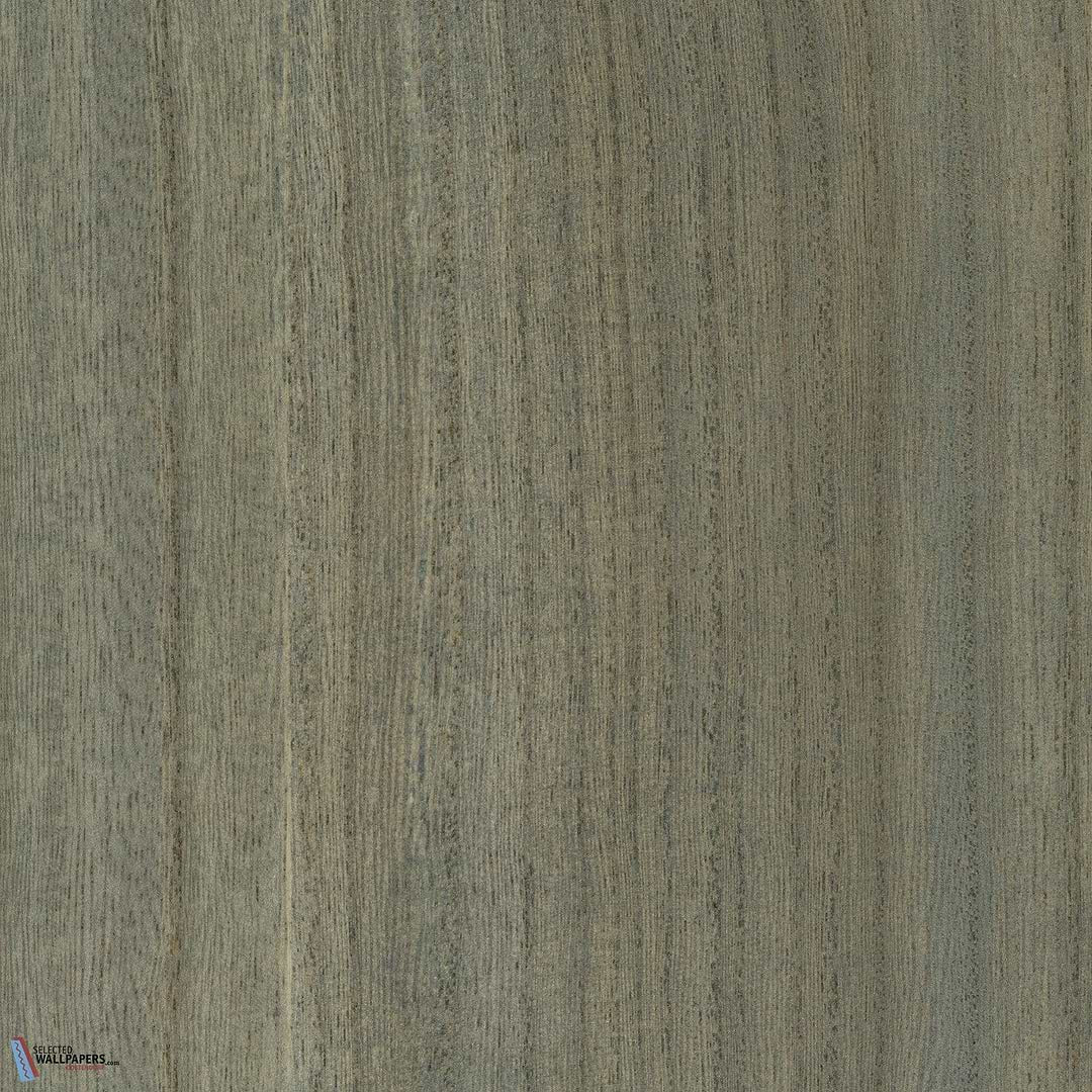 Paulownia - Wood Veneer Wallpaper - Forget Me Not