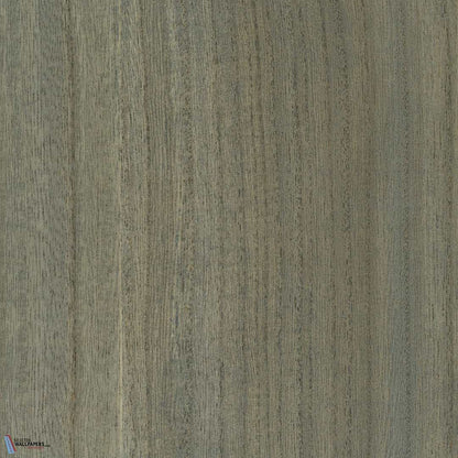 Paulownia - Wood Veneer Wallpaper - Forget Me Not