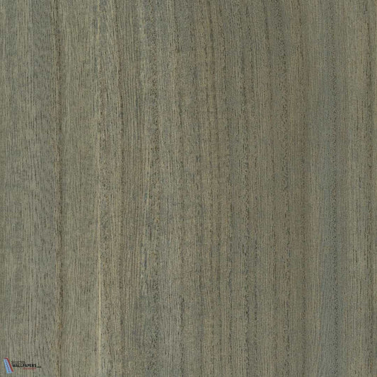 Paulownia - Wood Veneer Wallpaper - Forget Me Not