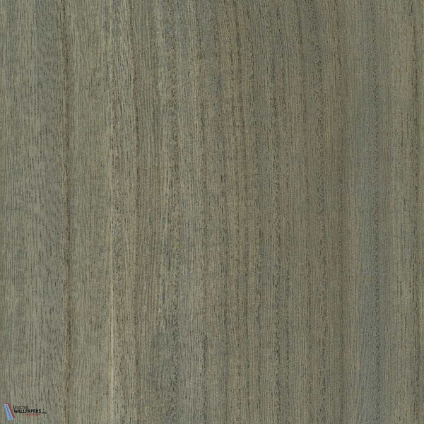 Sample - Paulownia - Wood Veneer Wallpaper - Forget Me Not