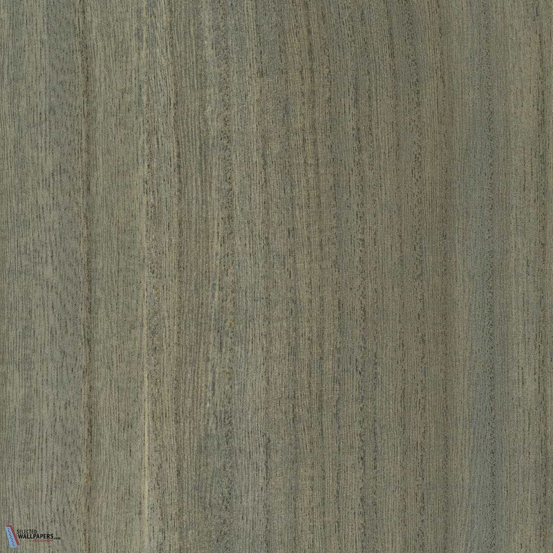 Paulownia - Wood Veneer Wallpaper - Forget Me Not
