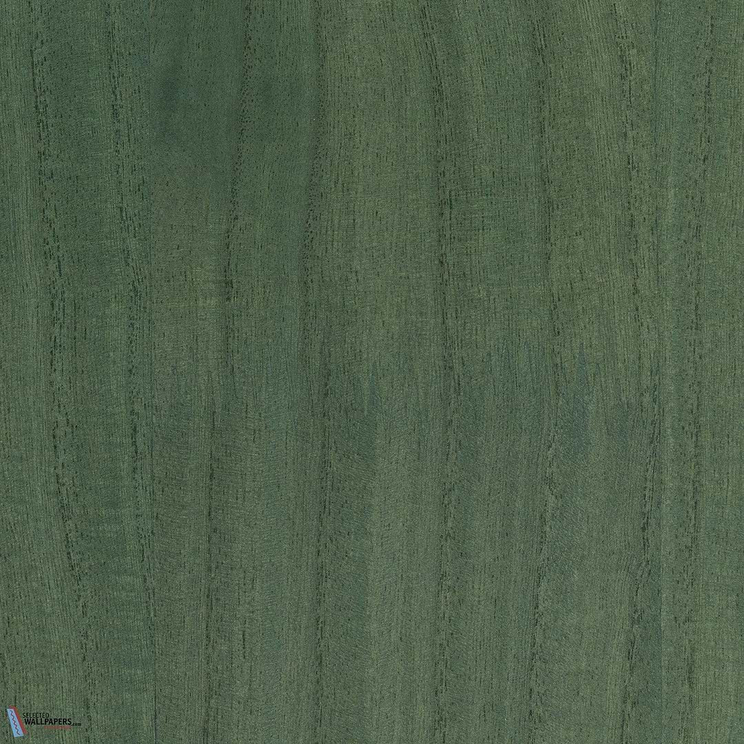 Sample - Paulownia - Wood Veneer Wallpaper - Bistro Green