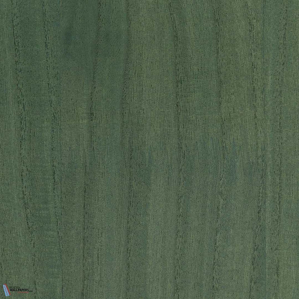 Sample - Paulownia - Wood Veneer Wallpaper - Bistro Green