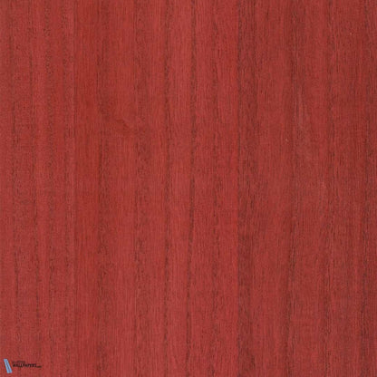 Paulownia - Wood Veneer Wallpaper - Goji Berry